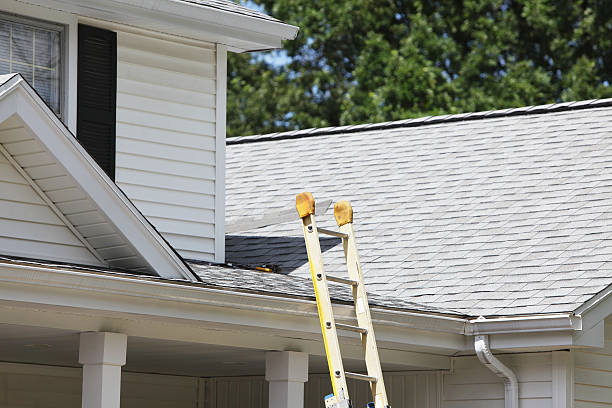 Best Stucco Siding  in Kohler, WI